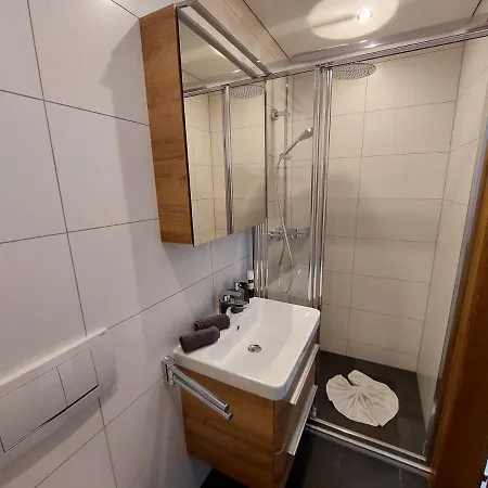 Haus Netzer Anita Apartment Schruns